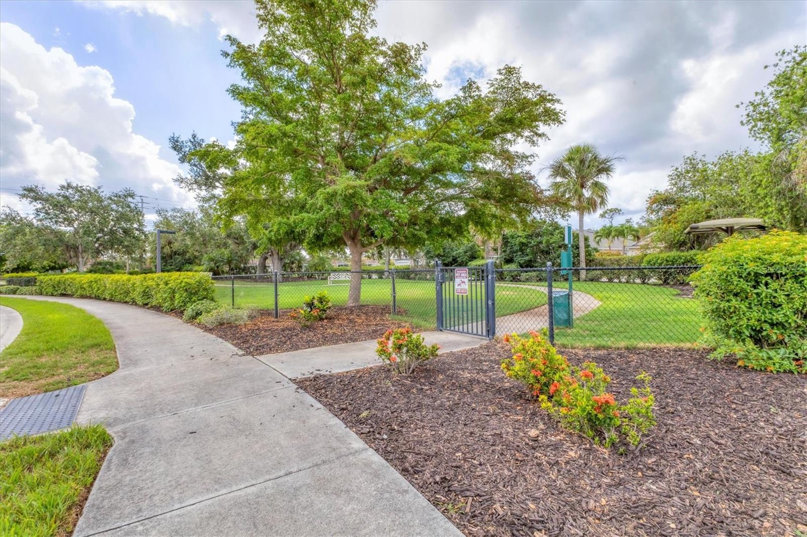 2520 TERRACINA DR — photo 34