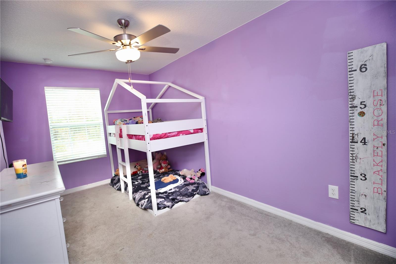 17620 NECTAR FLUME DR — photo 19