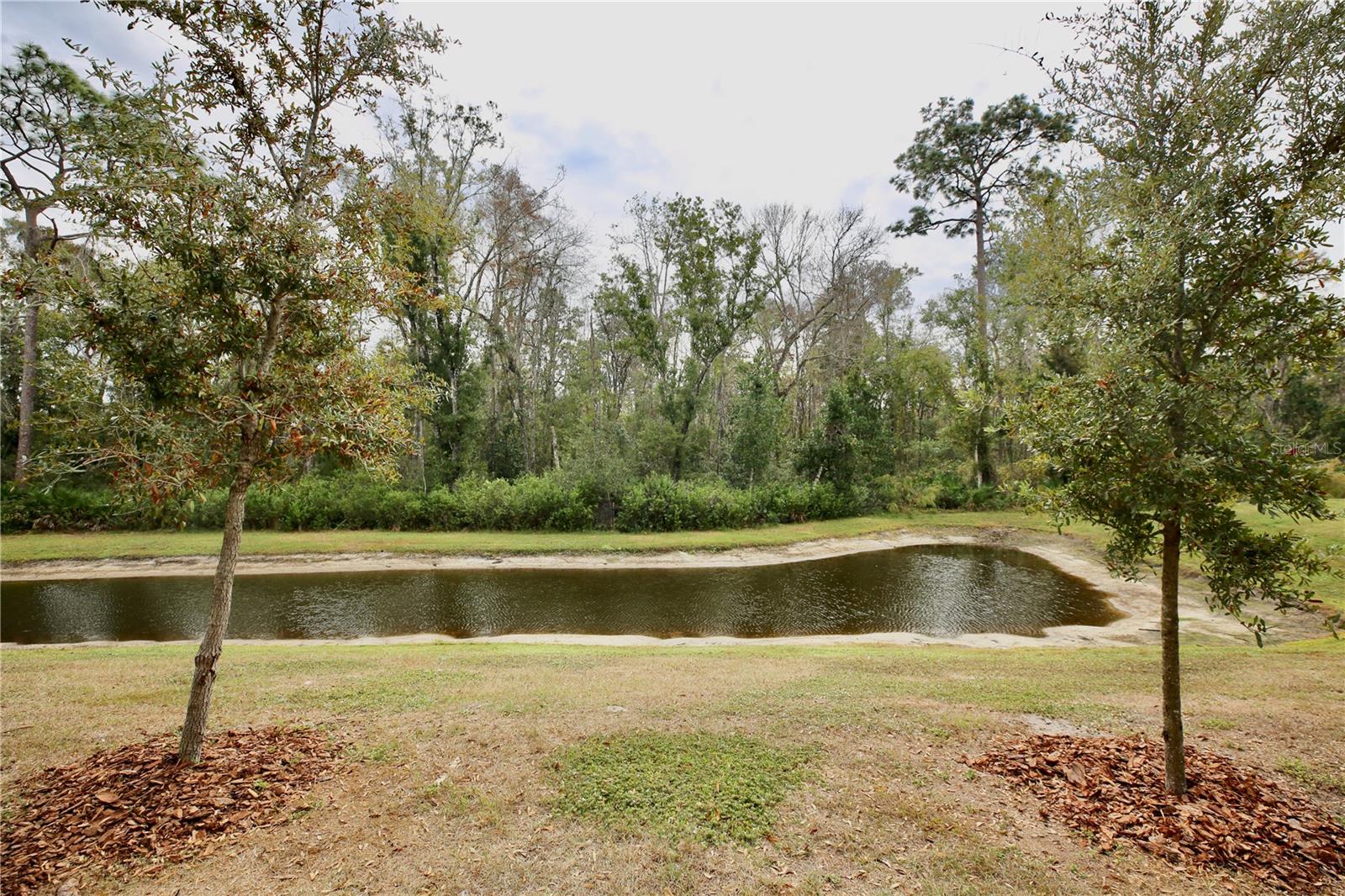 17620 NECTAR FLUME DR — photo 33
