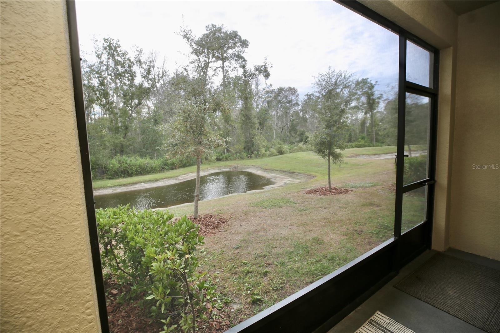 17620 NECTAR FLUME DR — photo 18