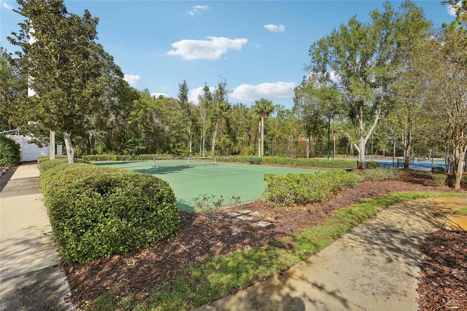 30352 ELDERWOOD DR — photo 23