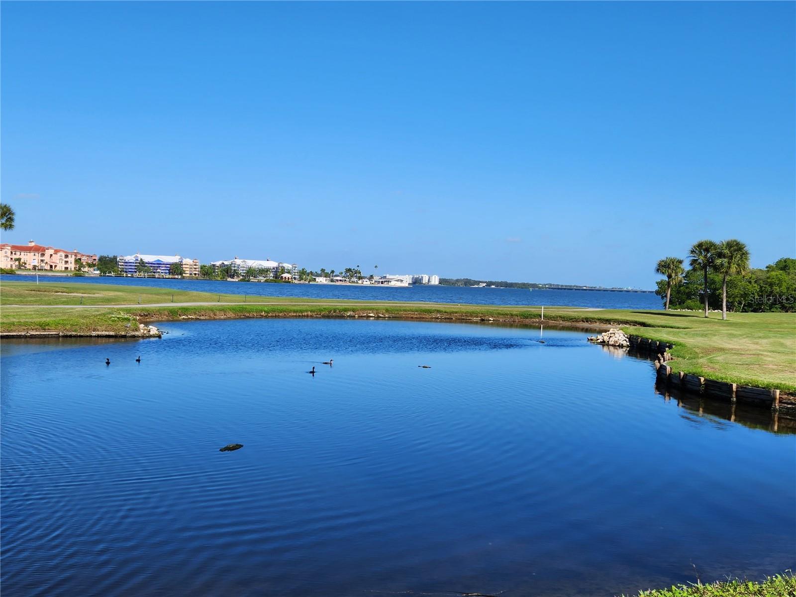 2620 COVE CAY DR #601 — photo 50
