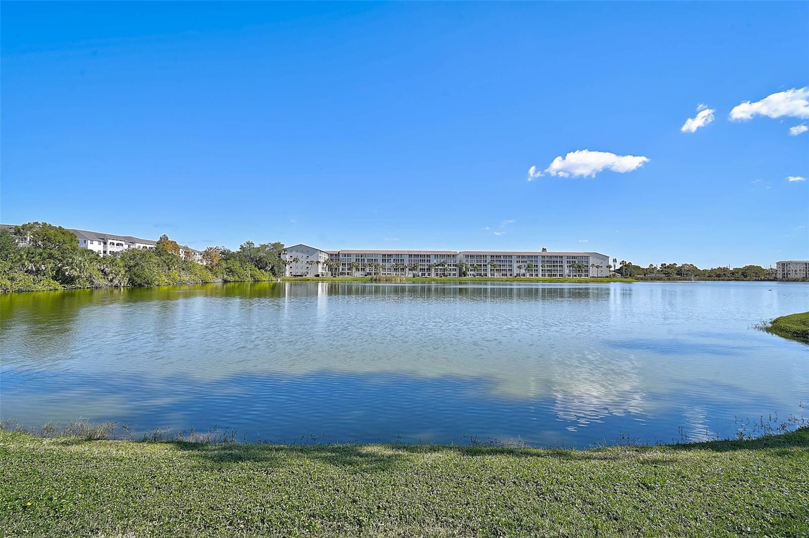 3585 LAKE BAYSHORE DR #J-301 — photo 33