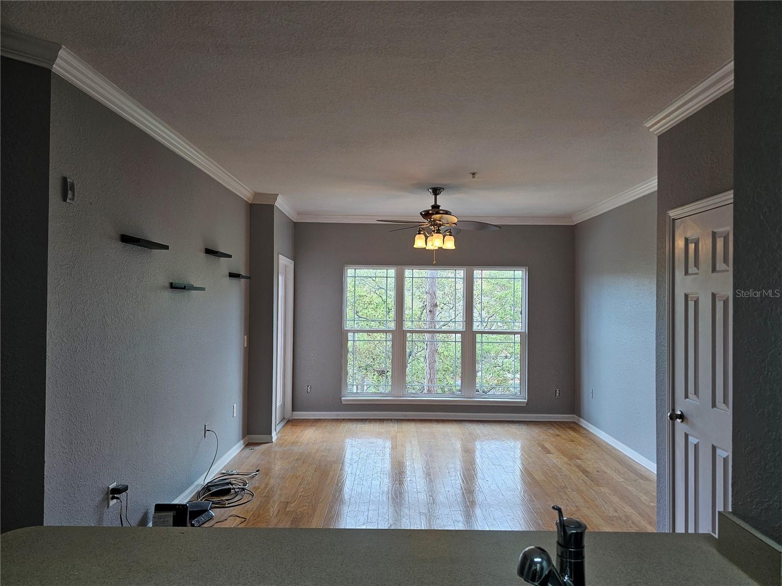 1216 S MISSOURI AVE #202 — photo 12