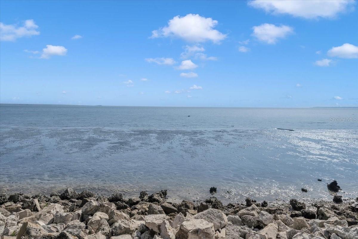 6212 BAYSHORE BLVD #K — photo 46