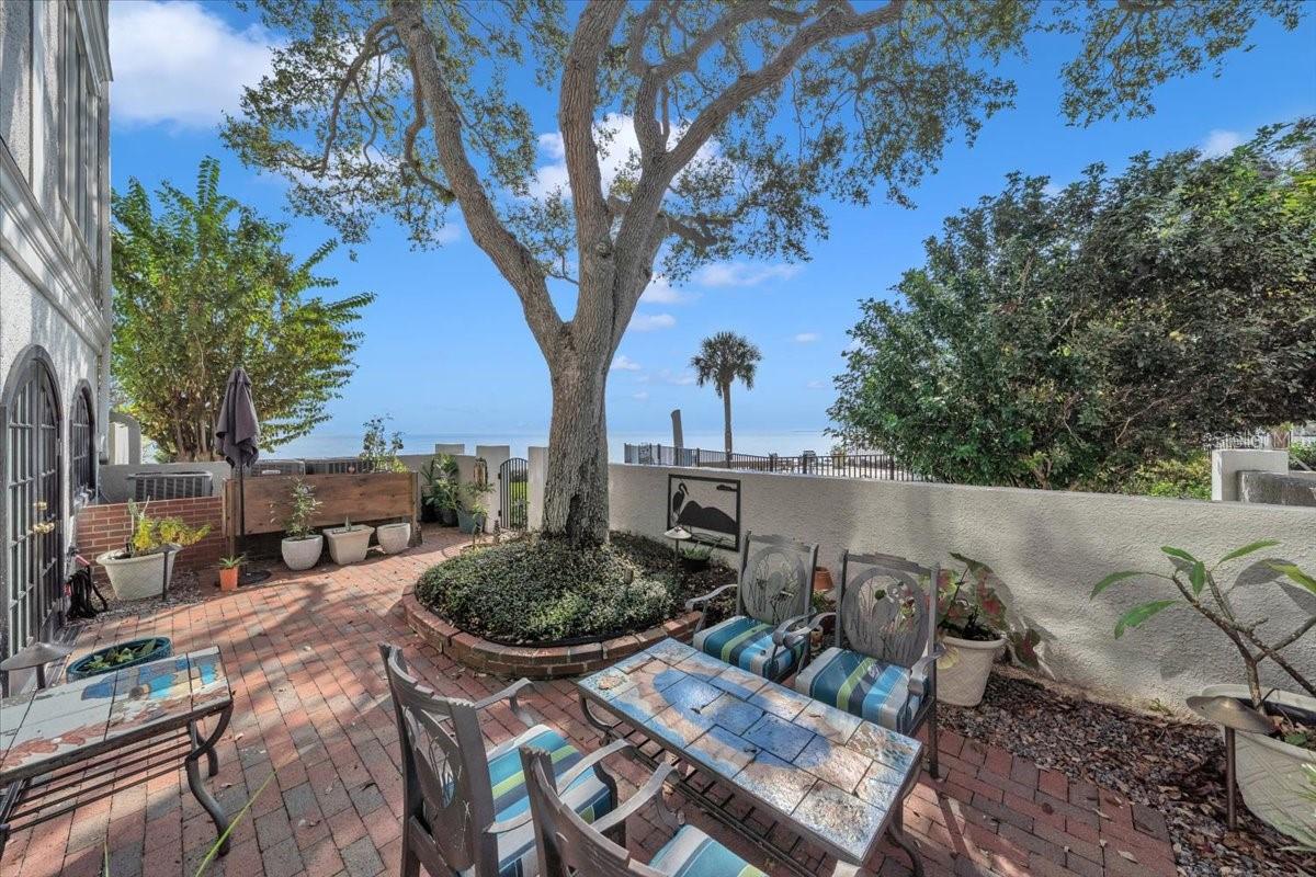 6212 BAYSHORE BLVD #K — photo 30