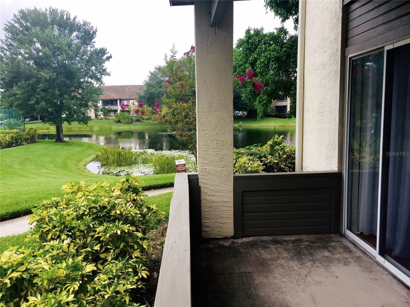 10263 GANDY BLVD N #513 — photo 20