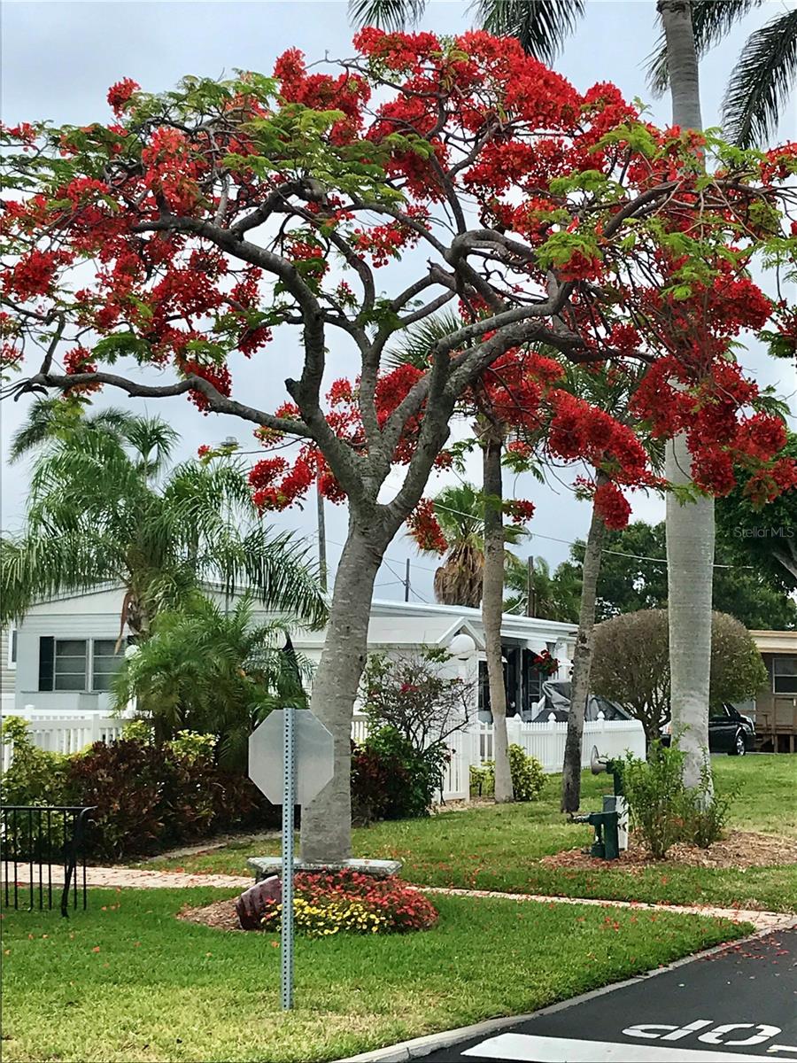 3710 GULF OF MEXICO DR #D11 — photo 10