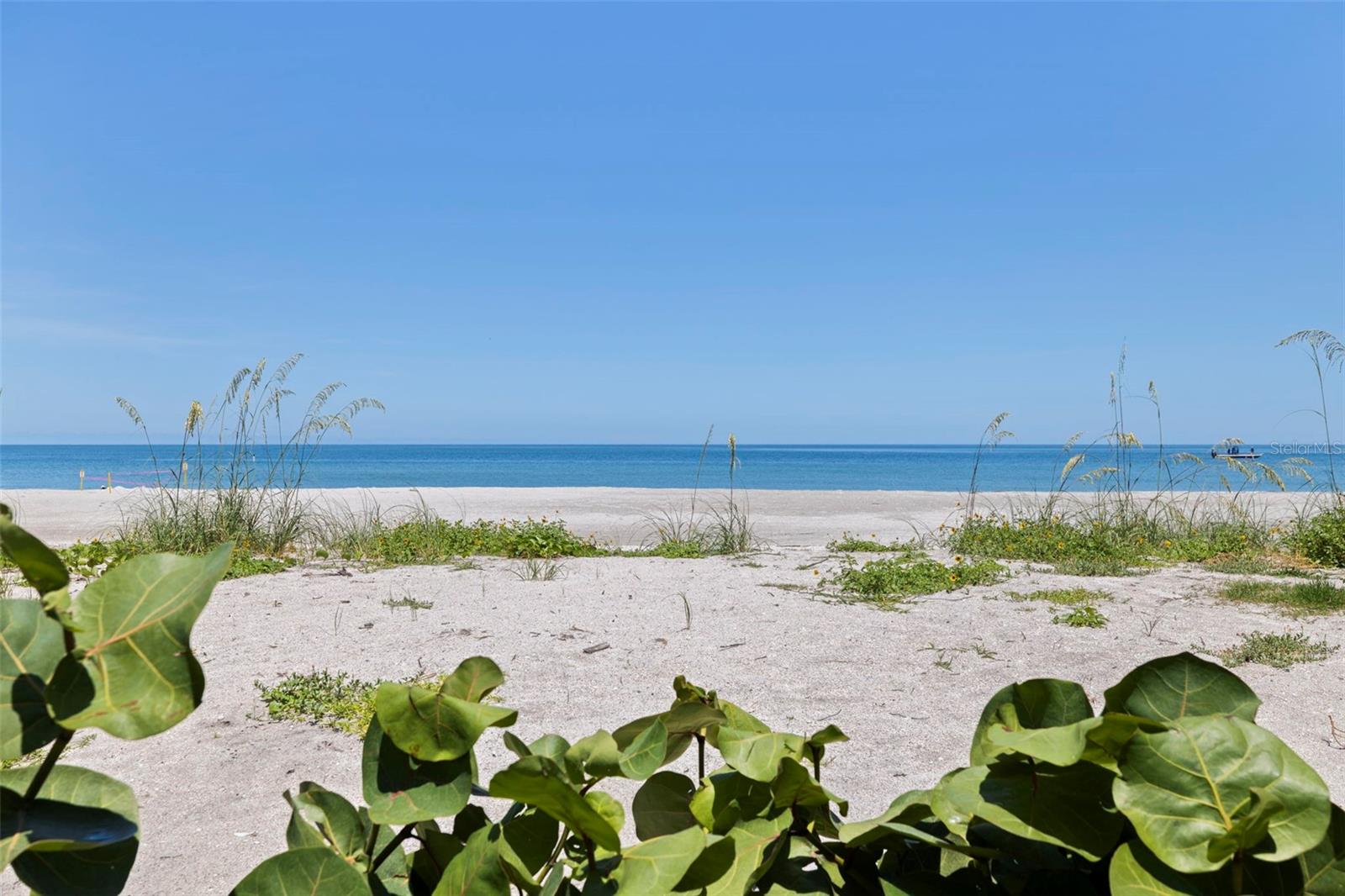 1520 GULF BLVD #1506 — photo 67