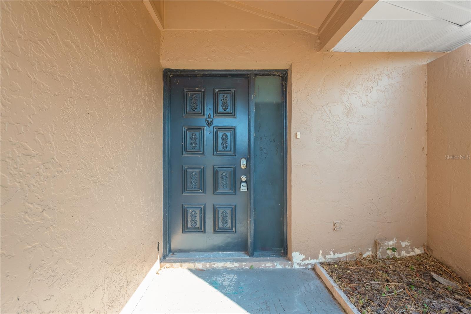 6507 MANILA PALM WAY — photo 5
