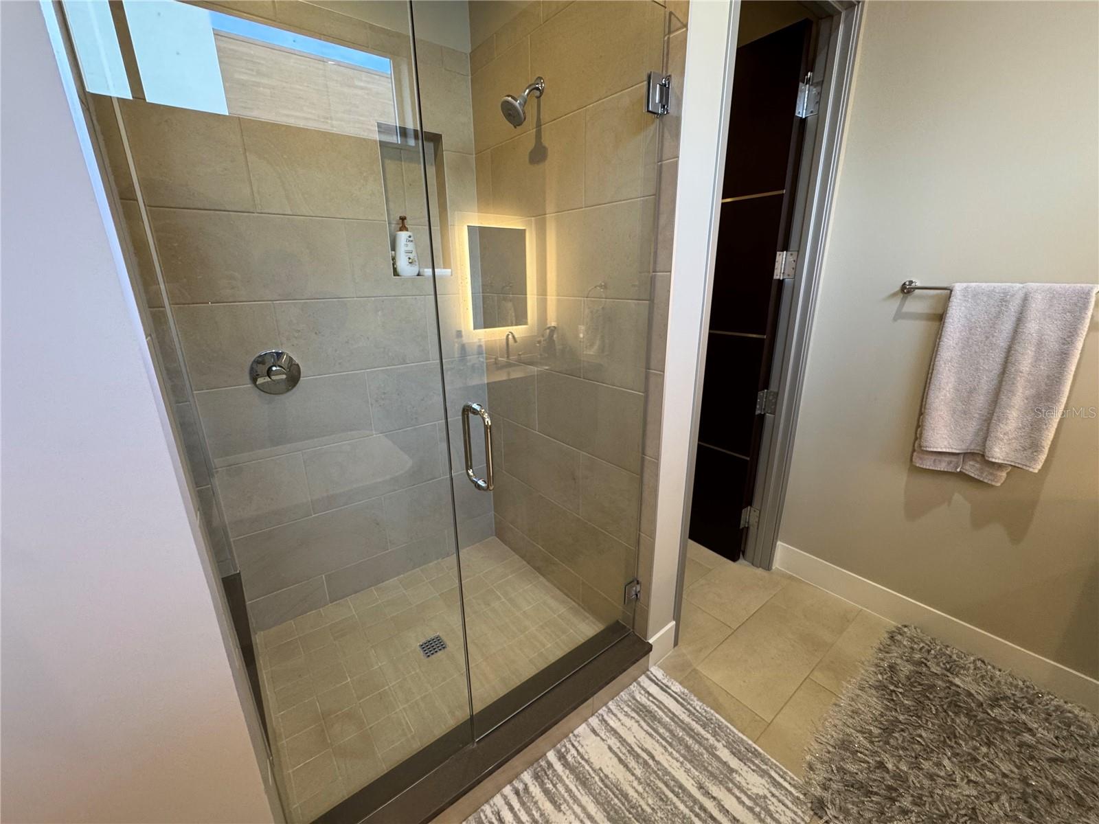 239 COSMOPOLITAN CT — photo 20