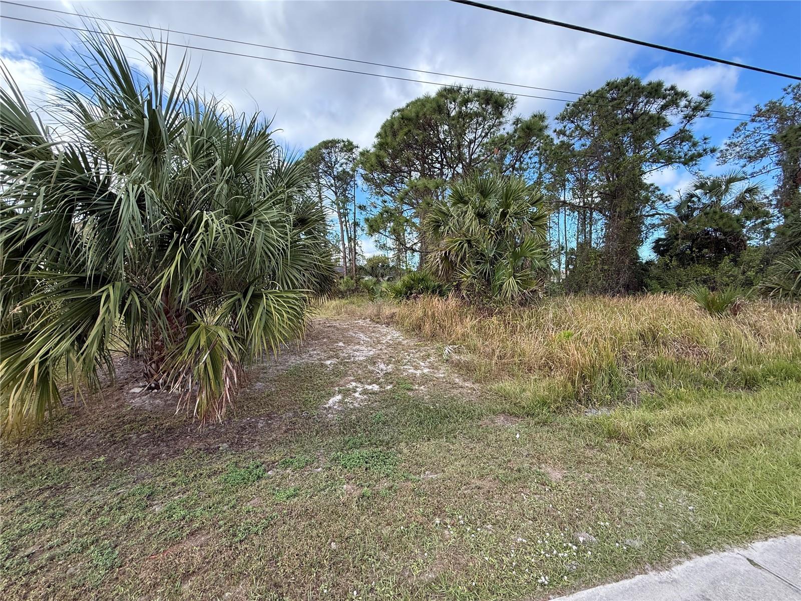 JEANNIN DR — photo 2