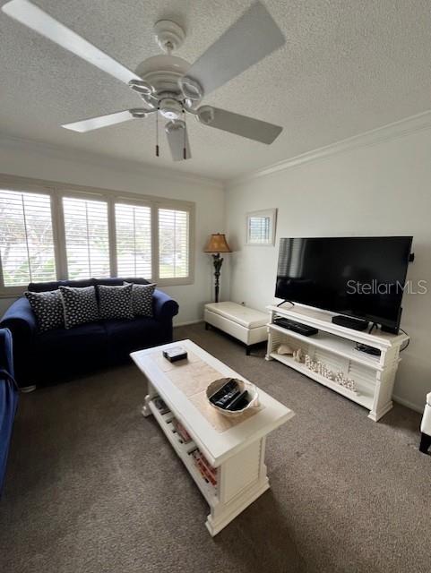 6703 MIDNIGHT PASS RD #217 — photo 7