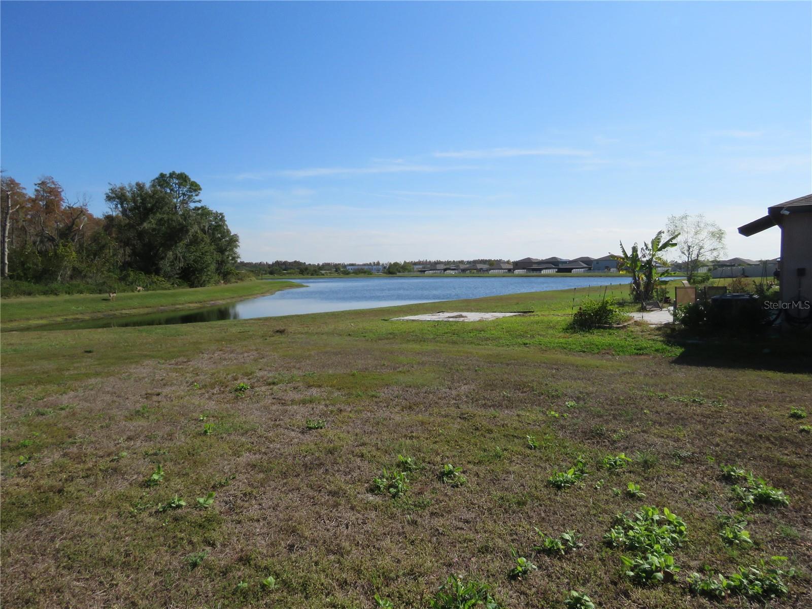 15518 MILLER CREEK DR — photo 18
