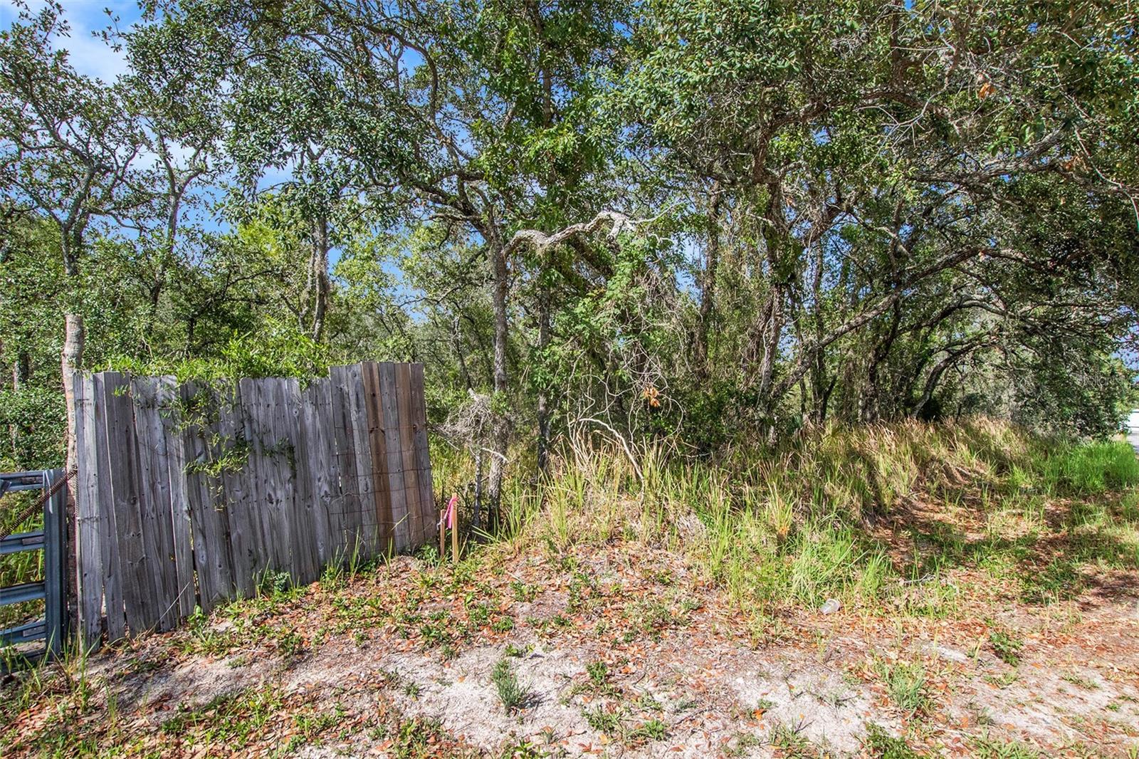 0 SHADY HILLS — photo 18