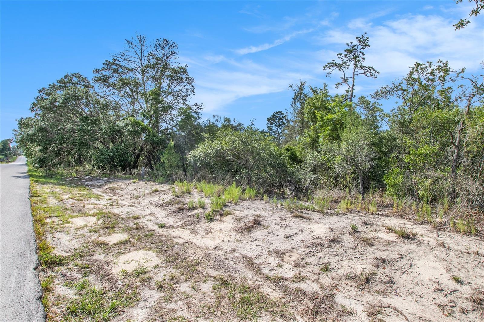 0 SHADY HILLS — photo 15