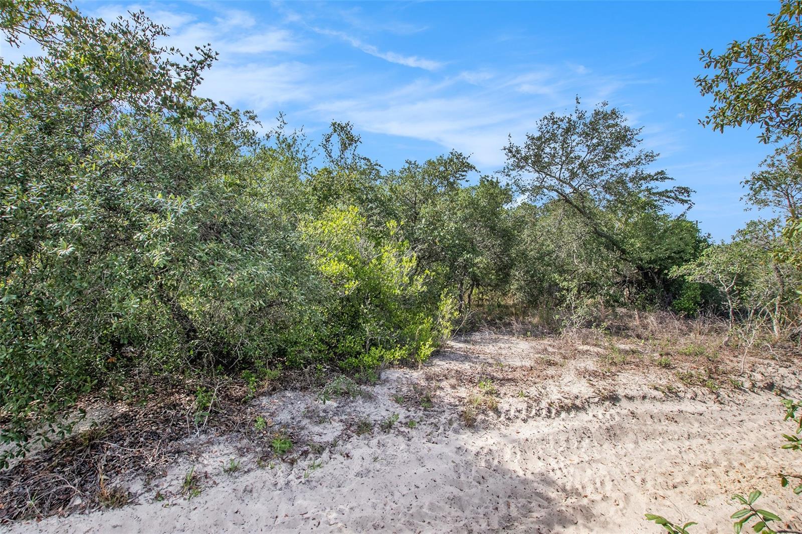 0 SHADY HILLS — photo 14