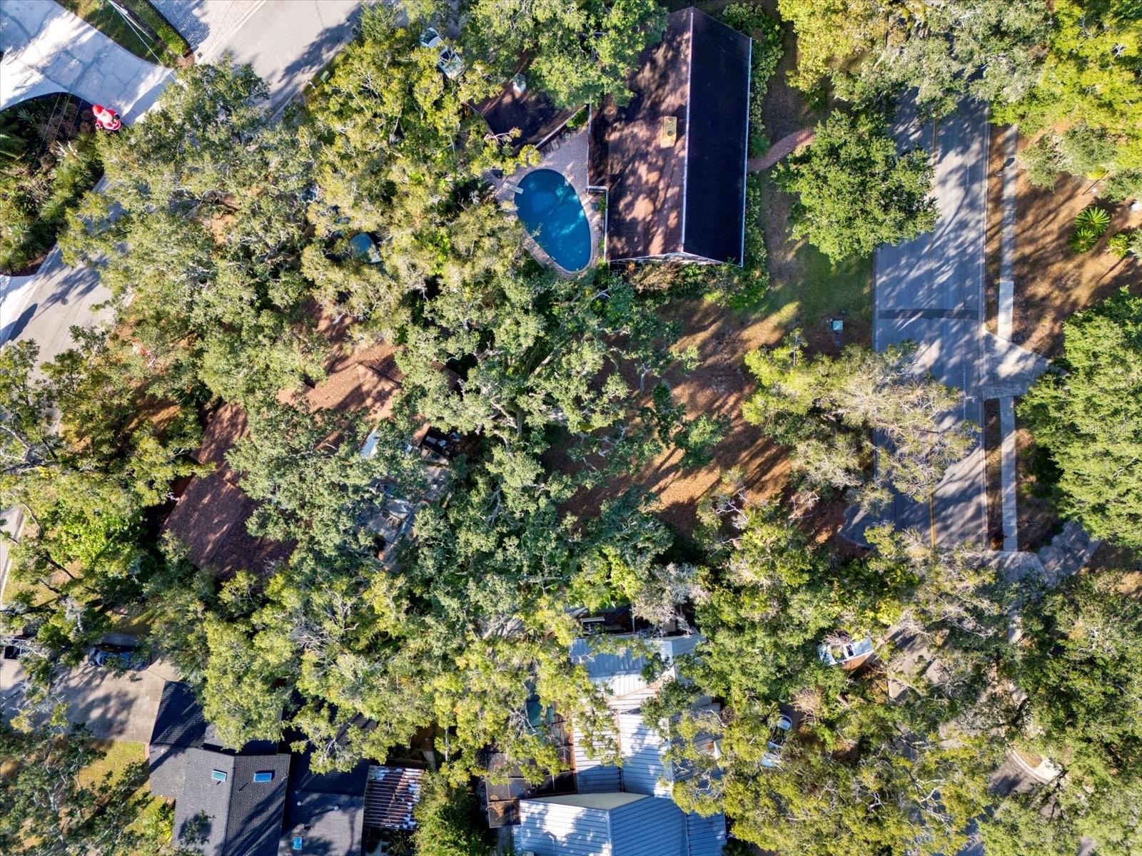 1113 N RIVERHILLS DR — photo 9