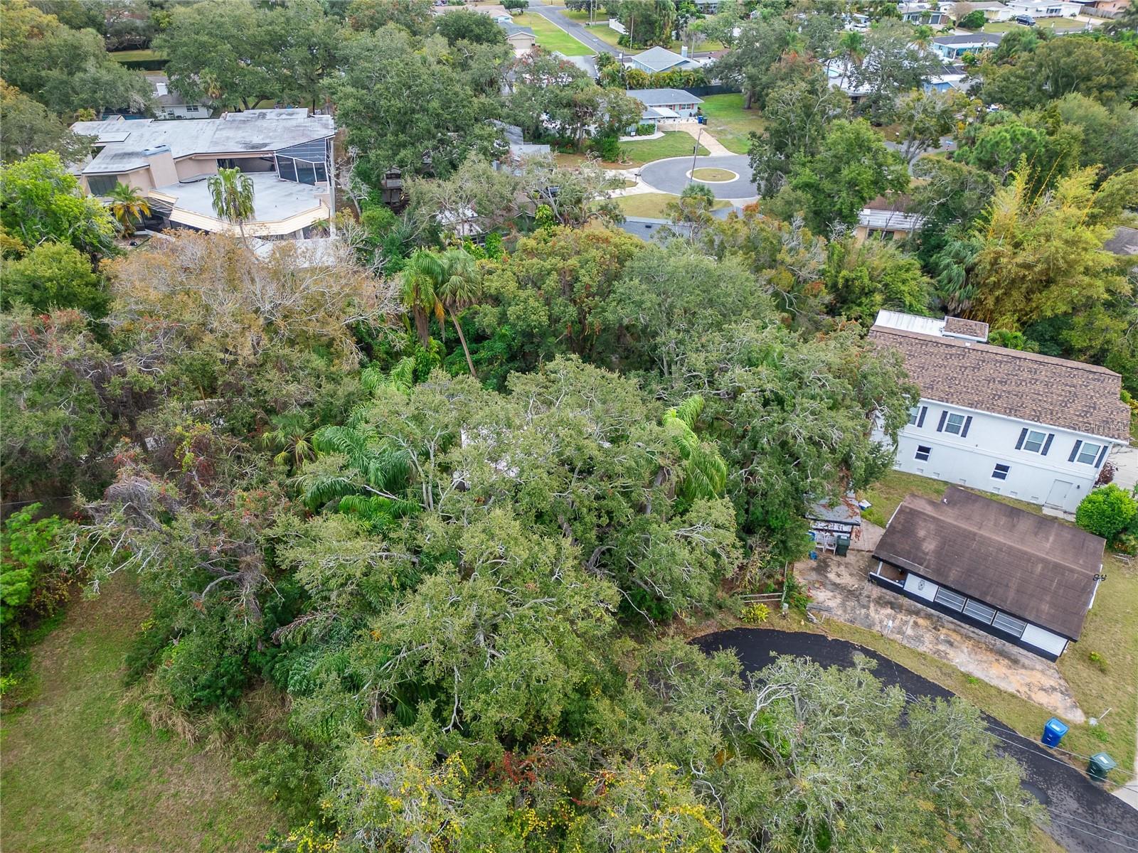 2605 BRAE BURN DR — photo 42
