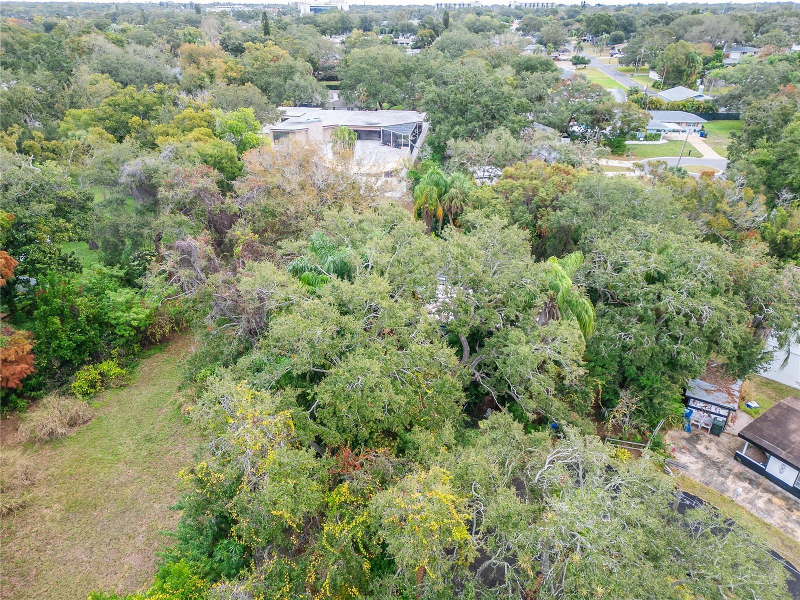 2605 BRAE BURN DR — photo 26
