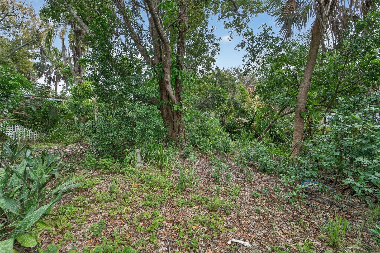 2605 BRAE BURN DR — photo 22