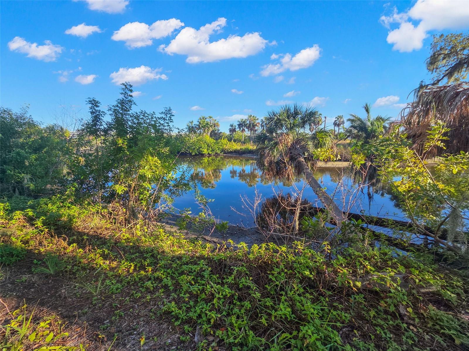 9511 RIVER COVE DR — photo 2