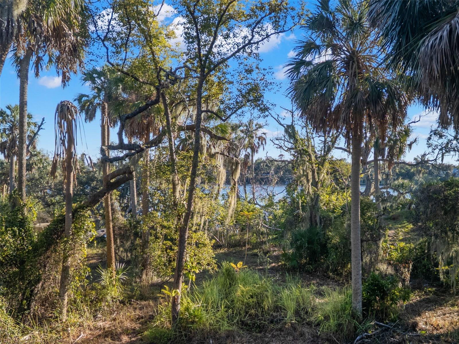 9511 RIVER COVE DR — photo 21