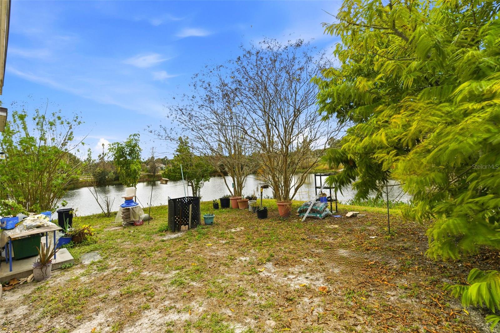 10417 BLACKMORE DR — photo 15