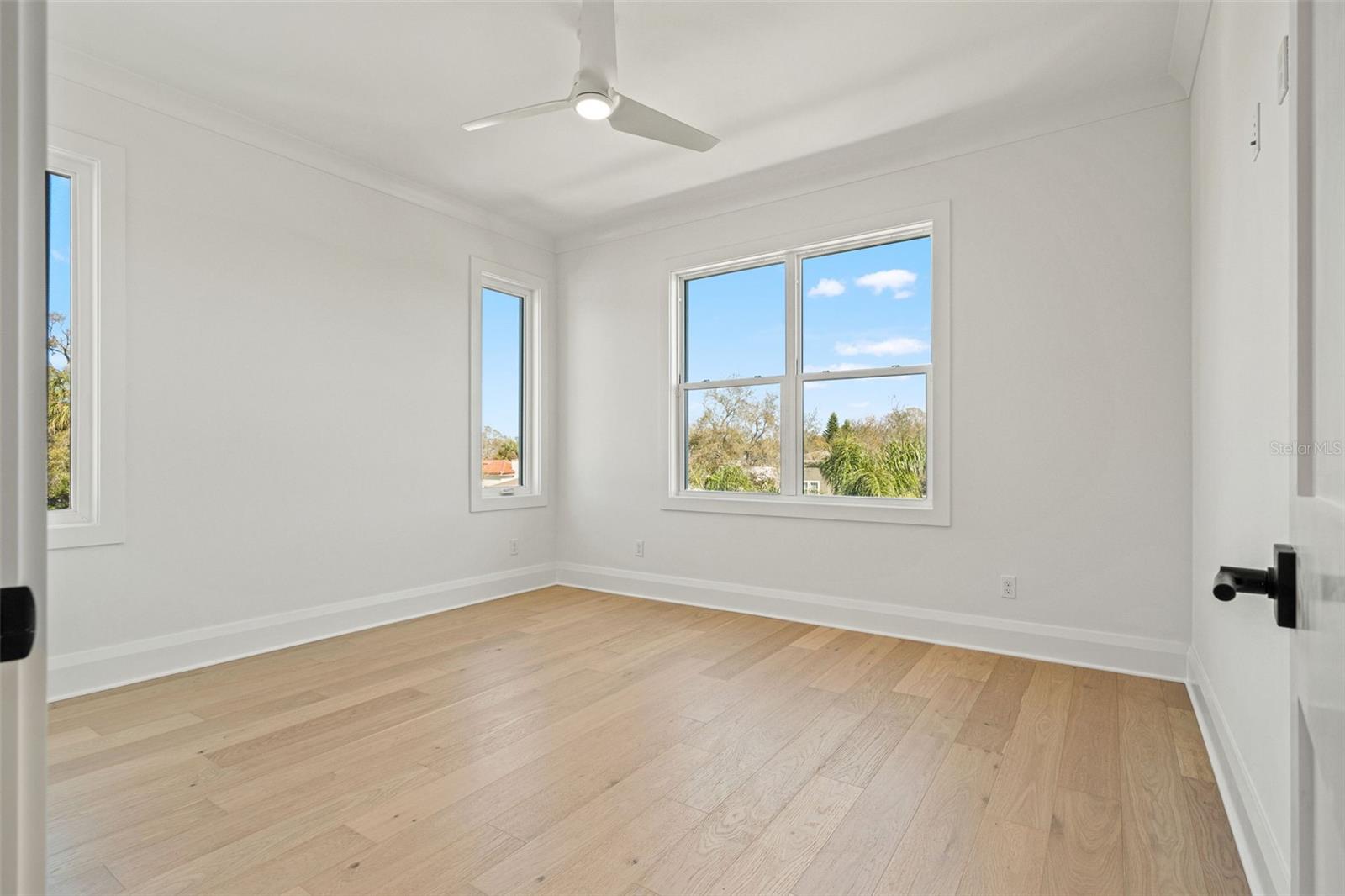 1524 S HABANA AVE — photo 36