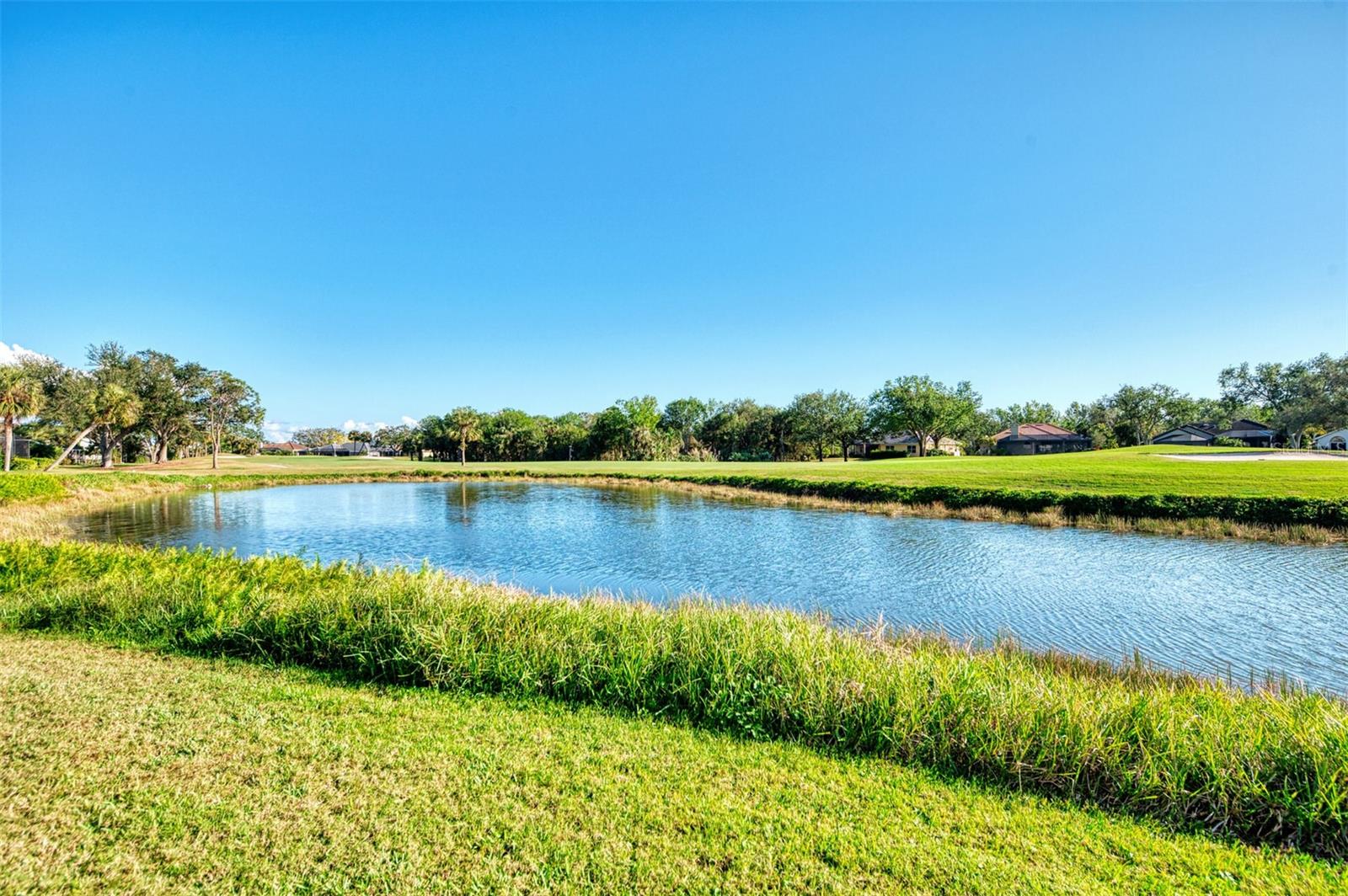 561 FALLBROOK DR — photo 47