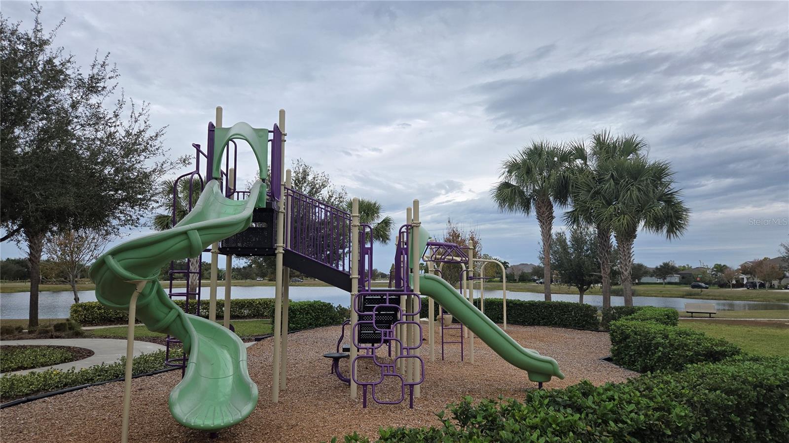 5424 SUMMER SUNSET DR — photo 49
