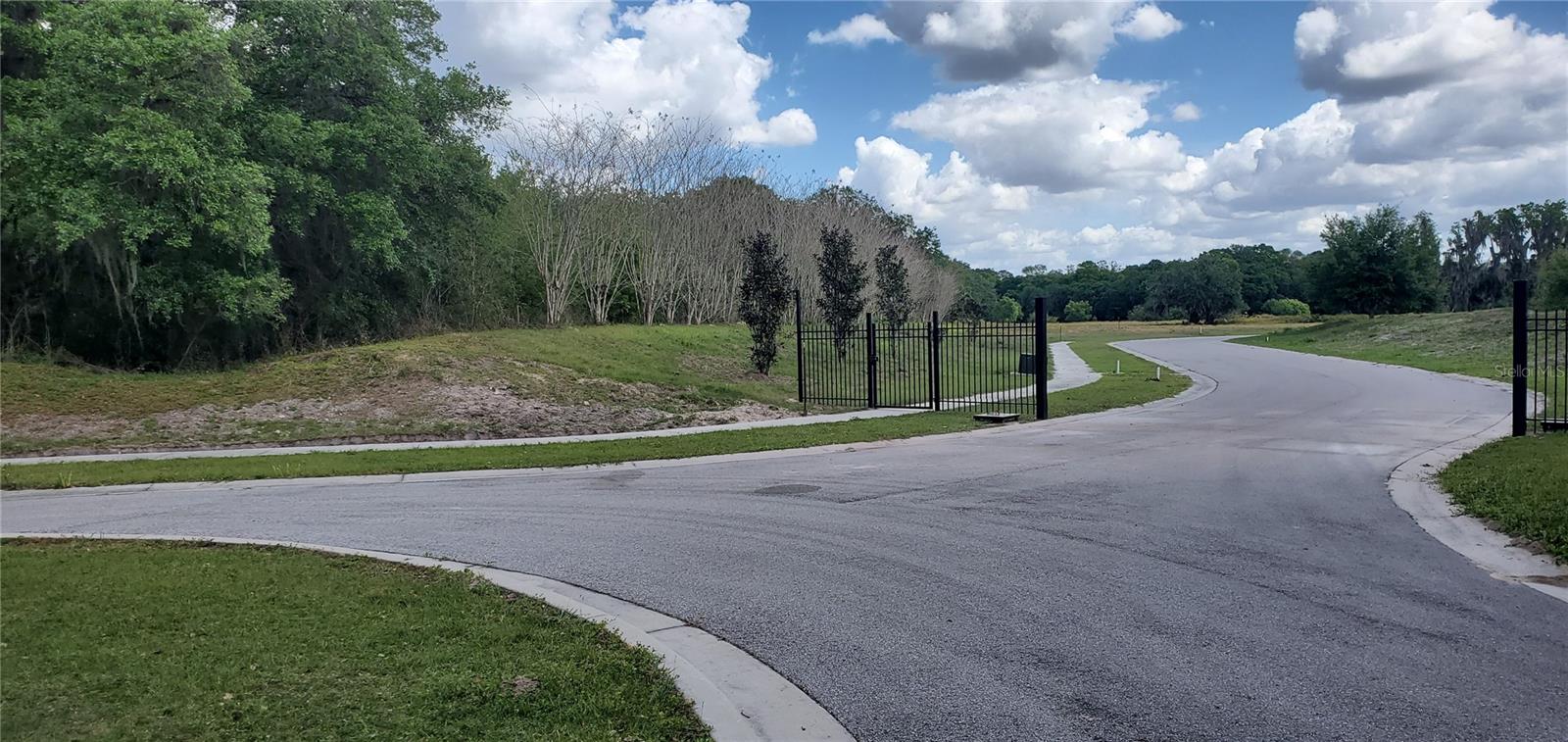 15311 FISHHAWK HEIGHTS RUN — photo 4