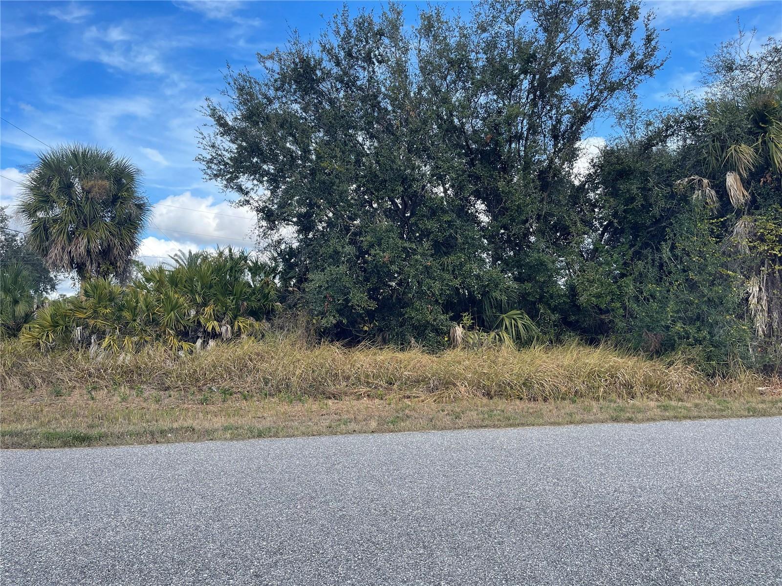 Lot#13 IRONDALE RD — photo 2