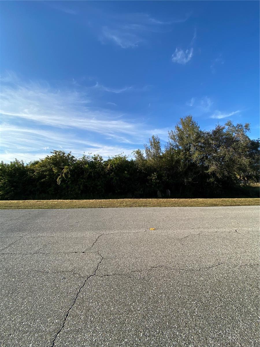 Lot 19 EMBASSY RD — photo 5