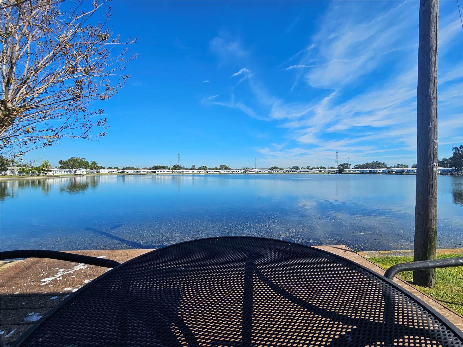 9705 MAINLANDS BLVD W — photo 25