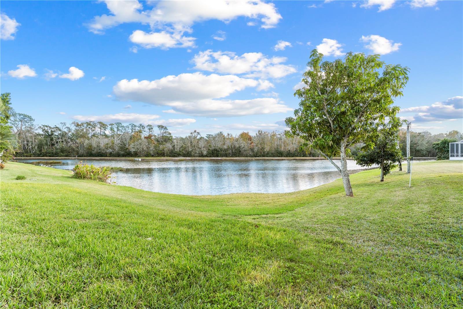 27416 BREAKERS DR — photo 39
