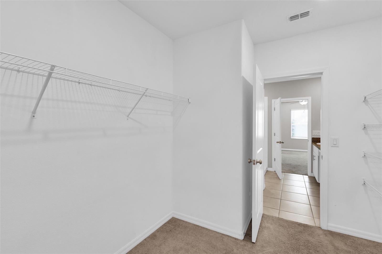 5204 WHITE CHICORY DR — photo 24