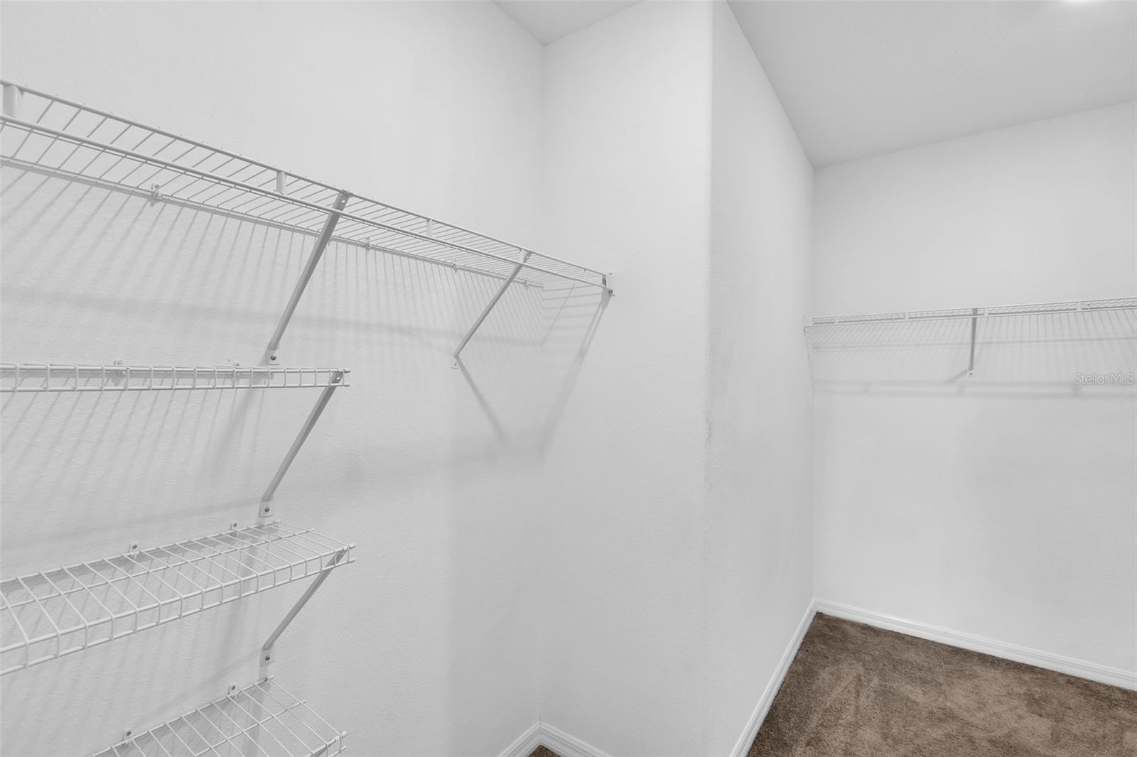 5204 WHITE CHICORY DR — photo 23