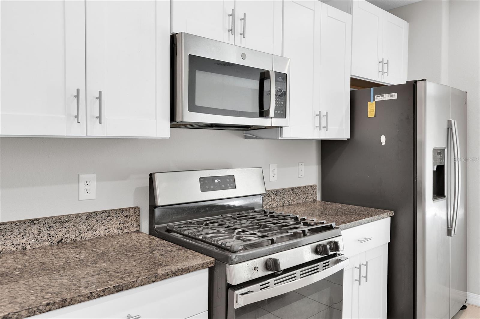 5204 WHITE CHICORY DR — photo 11