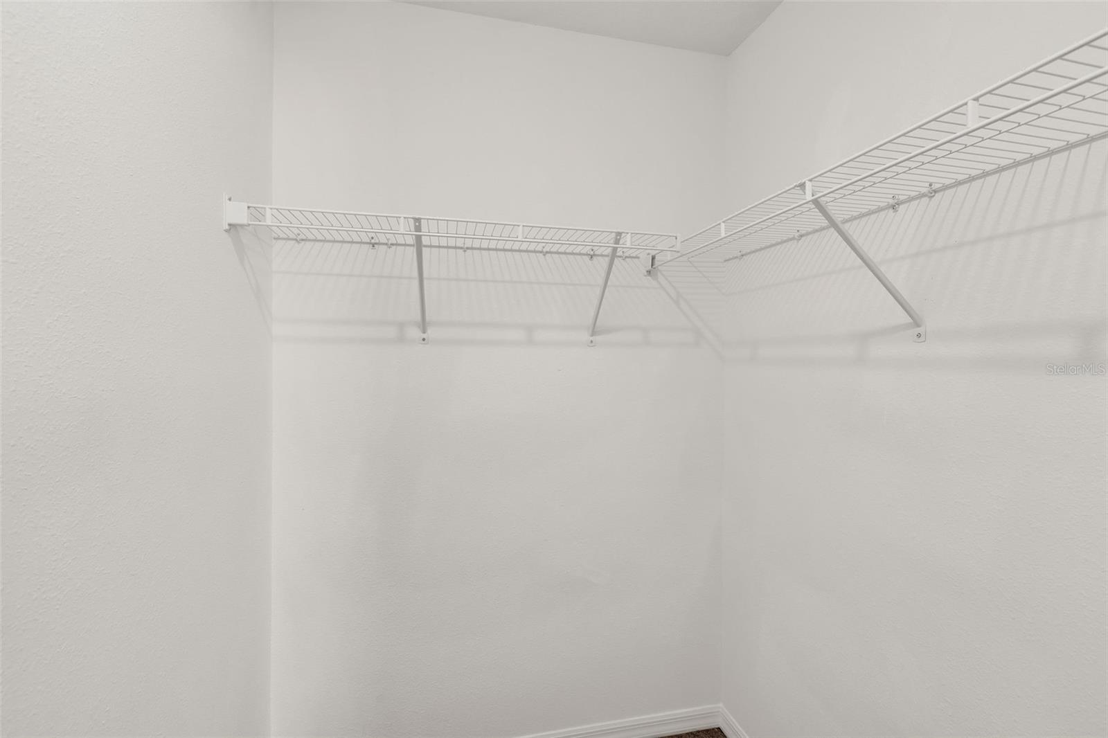 5204 WHITE CHICORY DR — photo 44