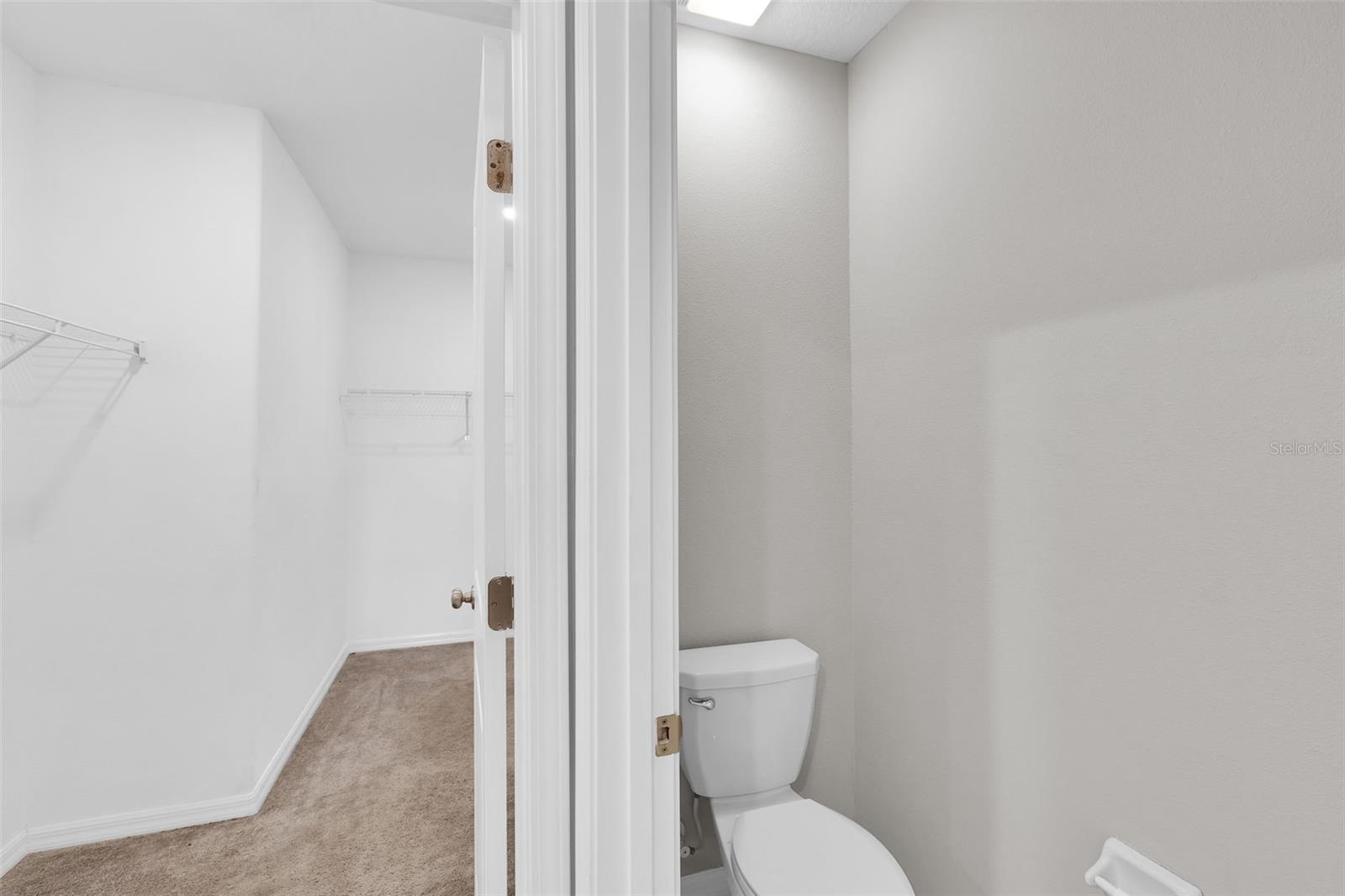5204 WHITE CHICORY DR — photo 22