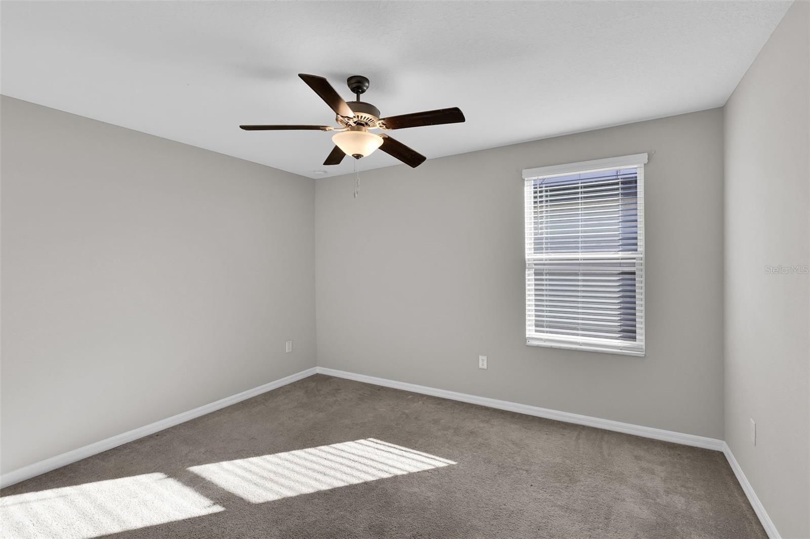 5204 WHITE CHICORY DR — photo 35