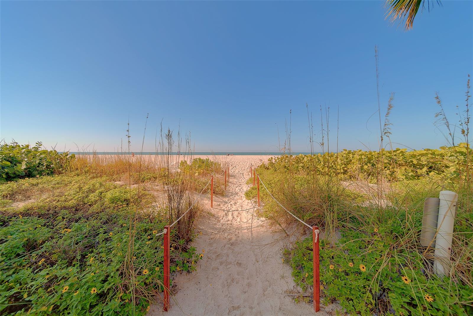 1480 GULF BLVD #201 — photo 58