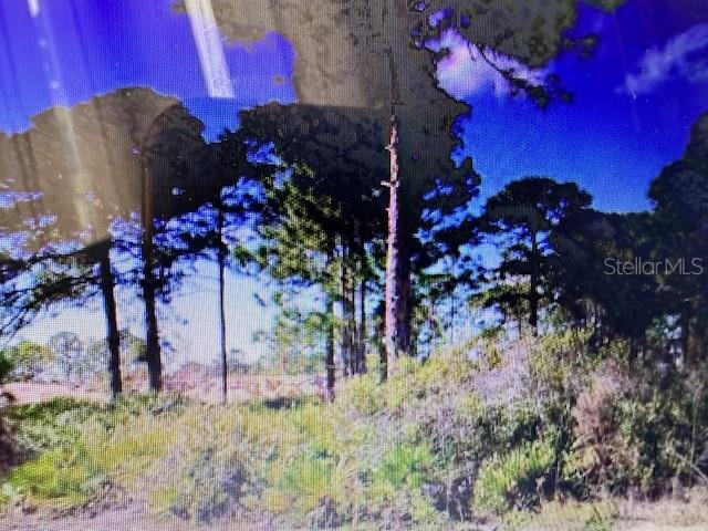 0 S TOLEDO BLADE BLVD N — photo 4