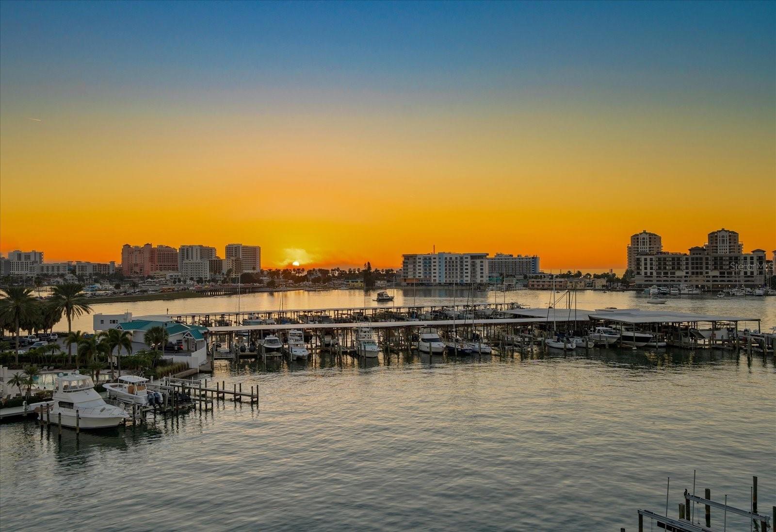211 DOLPHIN PT #301 — photo 44
