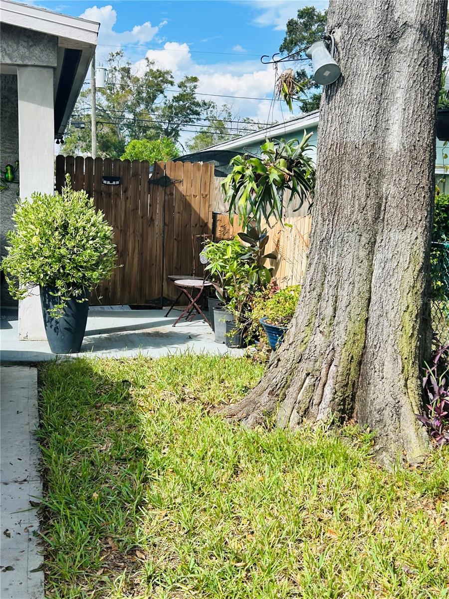 4611 14TH AVE S — photo 4