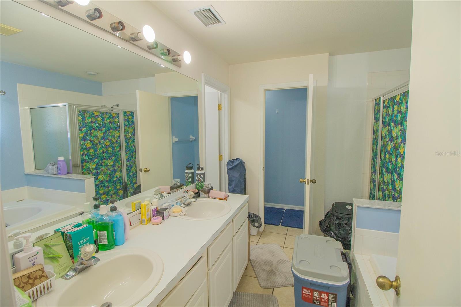10606 WALKER VISTA DR — photo 11