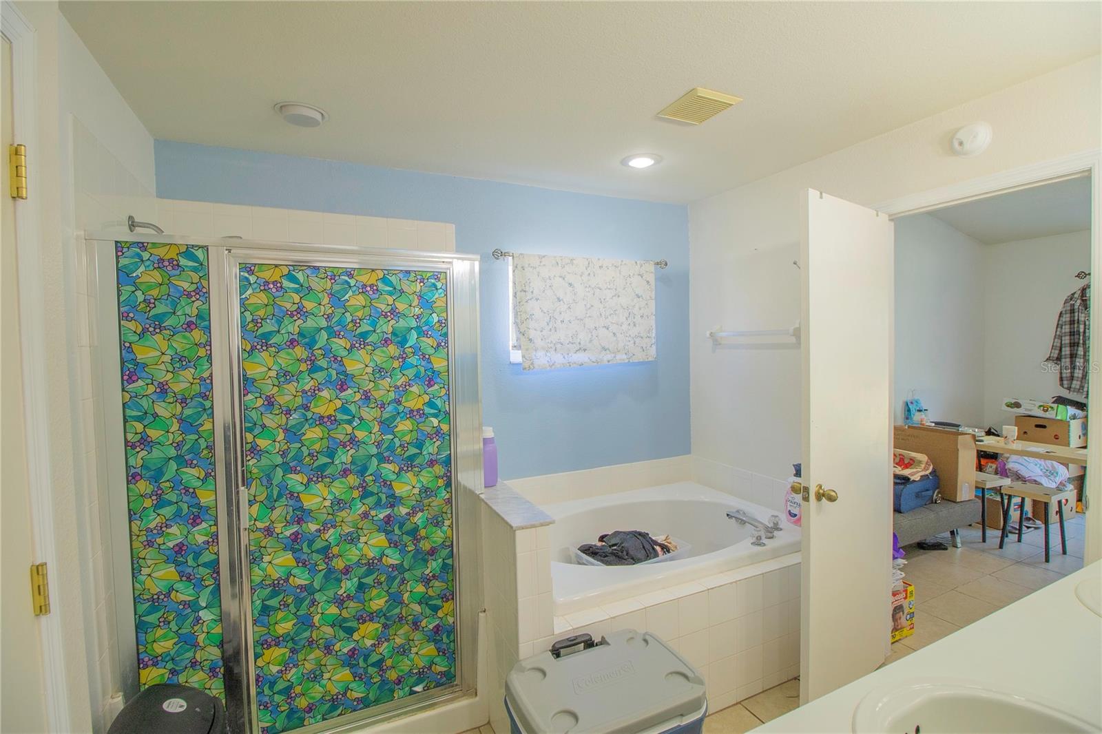 10606 WALKER VISTA DR — photo 10