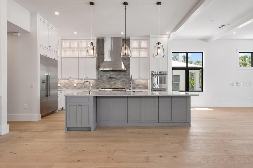 527 VENICE LN — photo 19