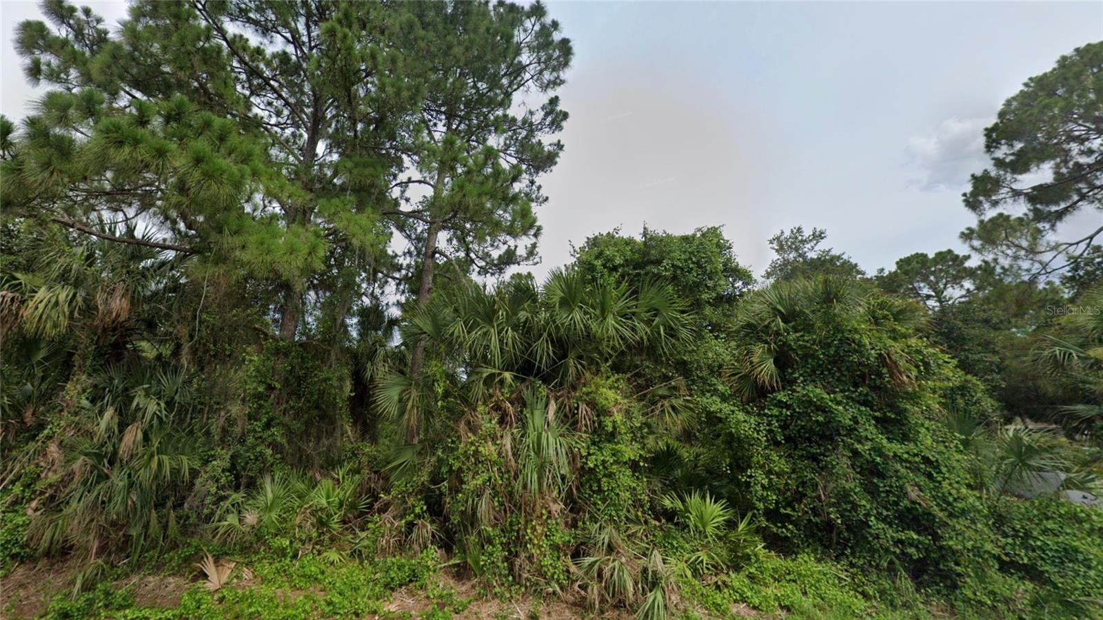 TOLUCA TER #Lot 10 & 11 — photo 7